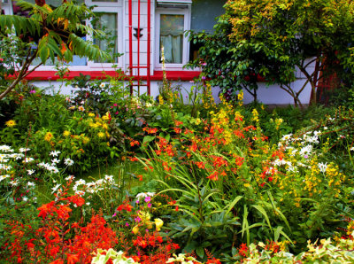 front garden 1.jpg