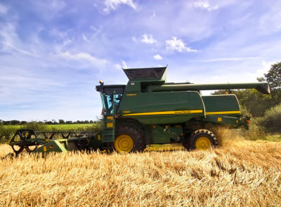 harvesting 1.jpg