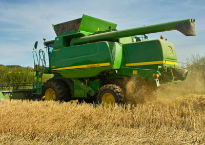 harvesting 3.jpg