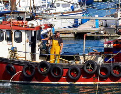 fisherman reversing .jpg
