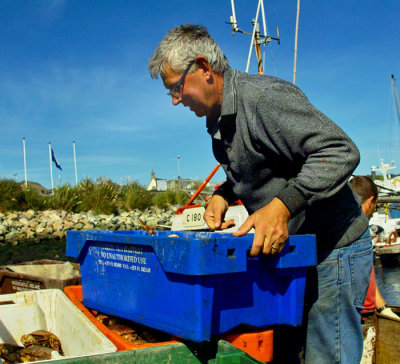 fisherman2.jpg