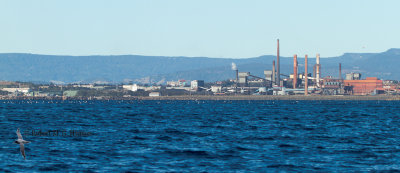 Wollongong 092.jpg