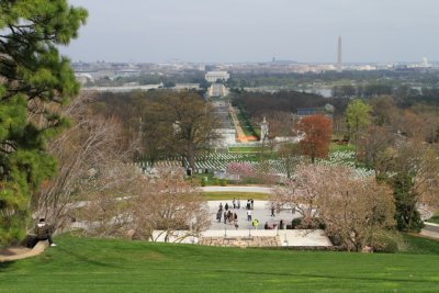 IMG_7951