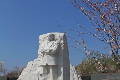 IMG_0071