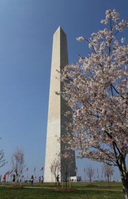 IMG_0167
