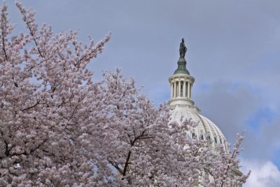 IMG_8876