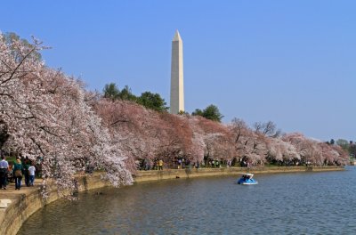 IMG_0063