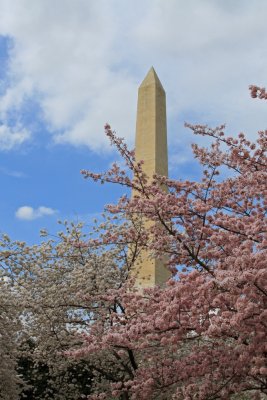 IMG_8528