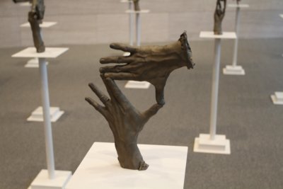 IMG_8788
