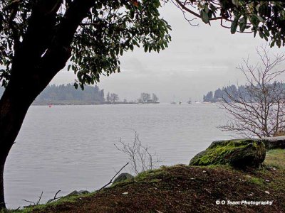 Coastal Scene