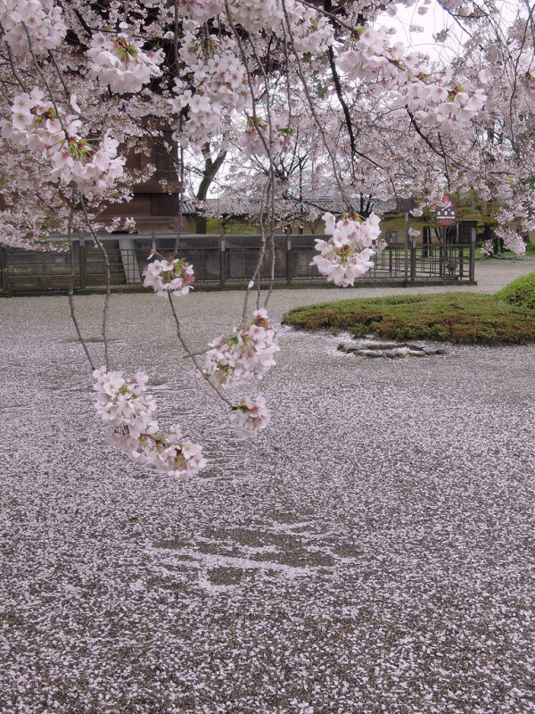 Toji Temple