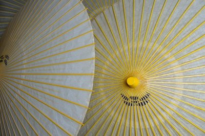 Japanese Umbrella