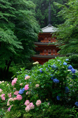 Gansen-ji Temple at Kyoto