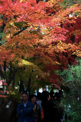 Koetsu-ji Temple