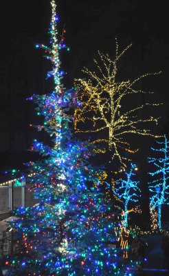 DSC_0018wb.jpg