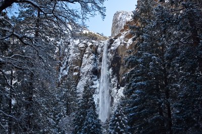 _MG_2788.jpg