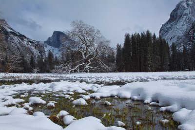 _MG_2827.jpg