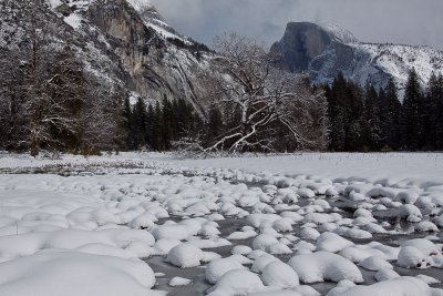 _MG_2831.jpg