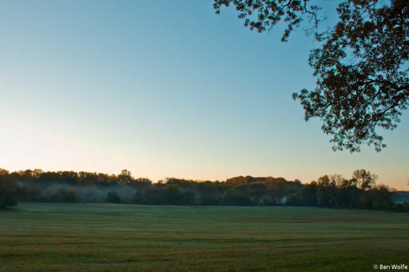 Riverbottom Pasture on The Dan