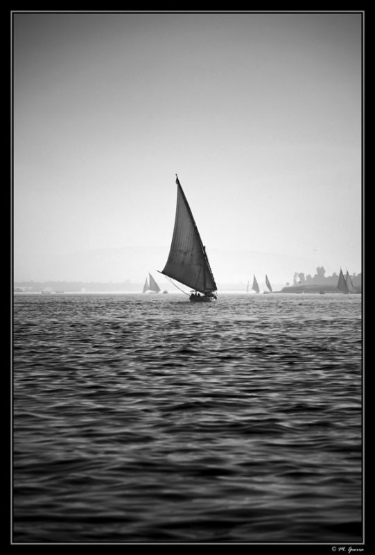 59 - Felucca in the Nile river