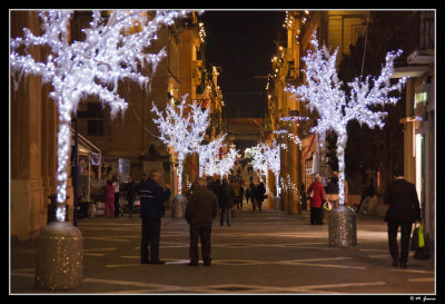 26 - Christmas Trees in la Valeta main street