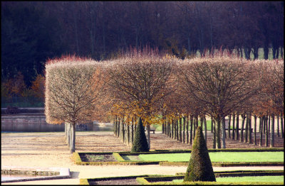 Versailles Gardens