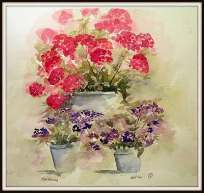 Hortensia