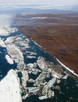 Barrow Sea Ice