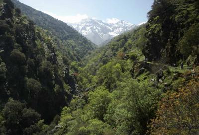 Vereda de La Estrella (Sierra Nevada)