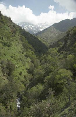 Vereda de La Estrella (Sierra Nevada)
