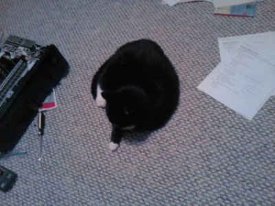 2011-02-23 22.11.21.jpg