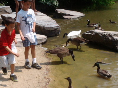 2011-06-11 15.15.26.jpg
