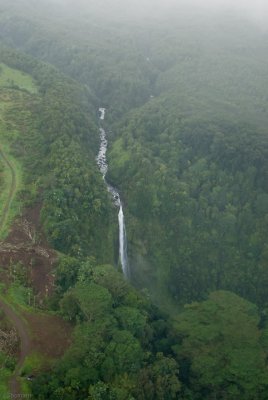 N1610 Akaka Falls