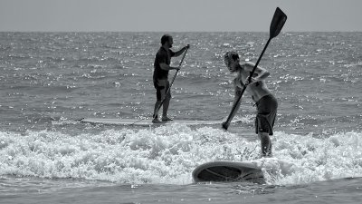 Paddle Surfers