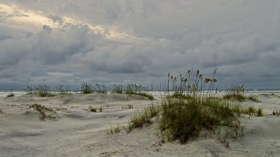 Dunes on Little Talbot Island