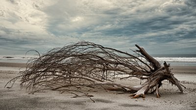 Little Talbot Island #5