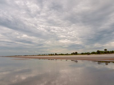 Little Talbot Island #9