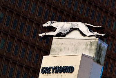 Greyhound and Federal Building