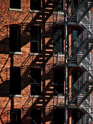 Shadow Play on the Fire Escape