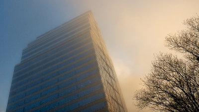 Branches and Bank