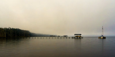 Mandarin Docks in the Mist.jpg