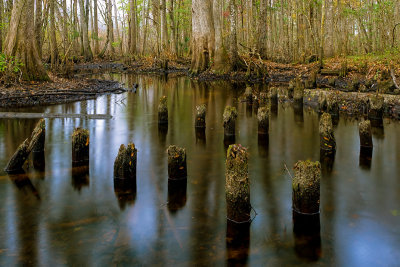 Durbin Creek #1