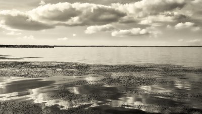 Mud Flats and Clouds