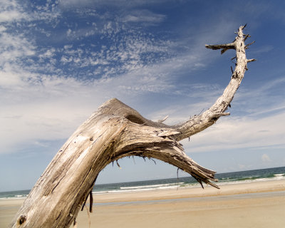 Little Talbot Island #9