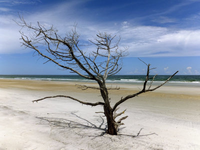 Little Talbot Island #8