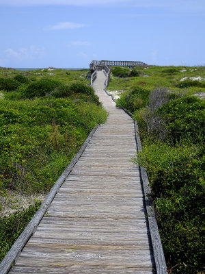 Little Talbot Island #7