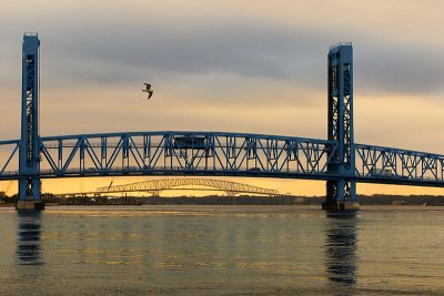 Bird and Bridge 076.jpg