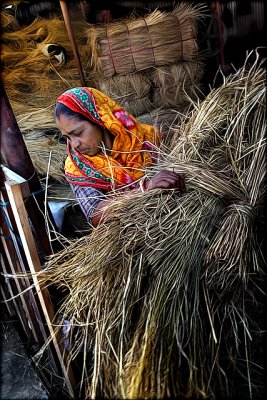 Hay from the mill