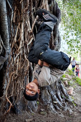 மரம் மட்டும் வளரும்