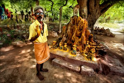 நல்ல பாம்பு வீடு  • Madurai